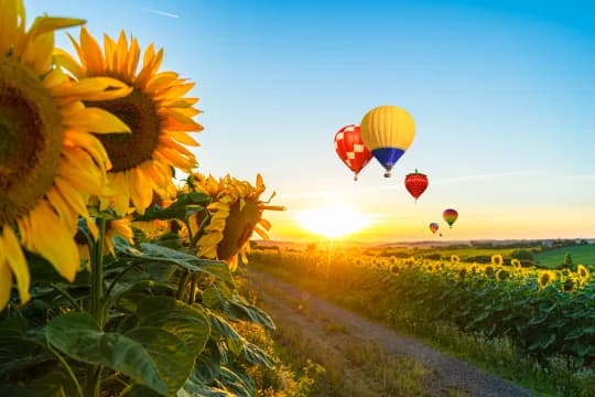 Hot Air Balloons